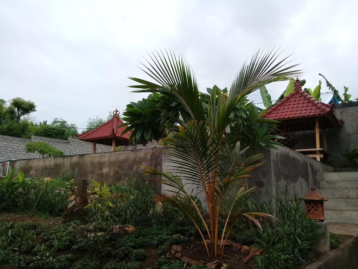 Eliska Sari Bungalows Sumberkima Пемутеран Экстерьер фото