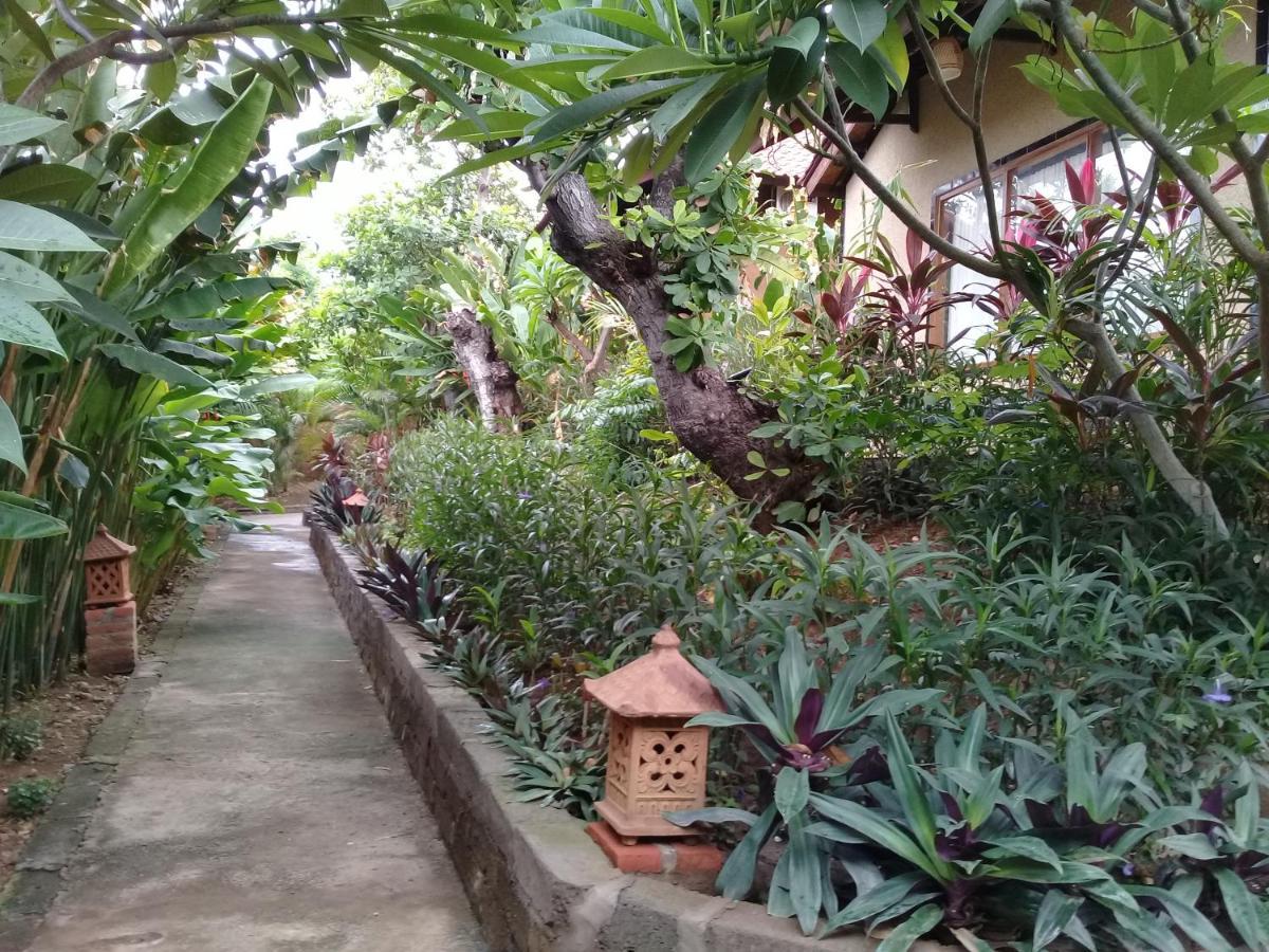 Eliska Sari Bungalows Sumberkima Пемутеран Экстерьер фото