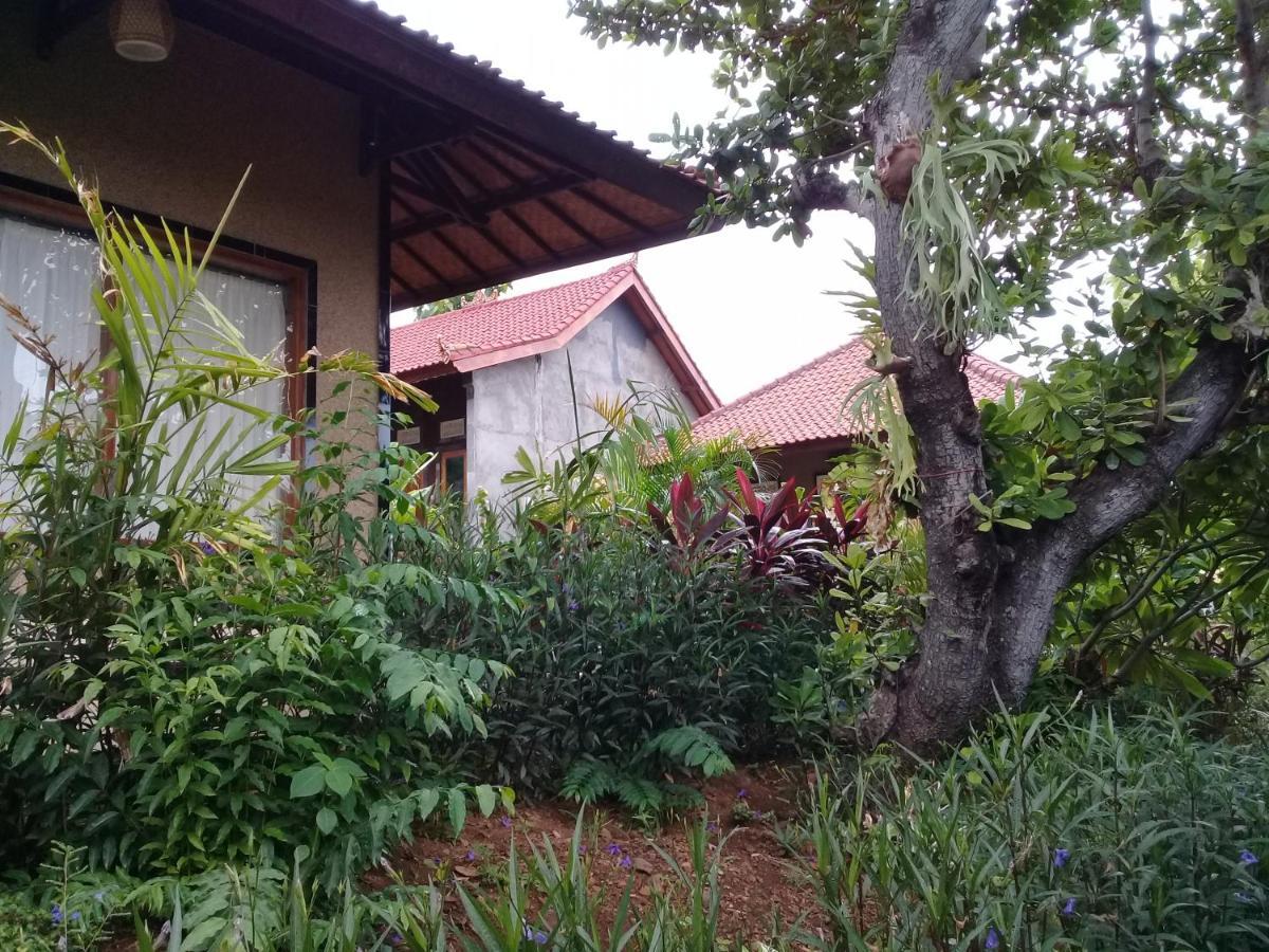 Eliska Sari Bungalows Sumberkima Пемутеран Экстерьер фото